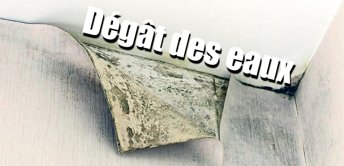 dégât des eaux : 6 conseils pour éviter la marée