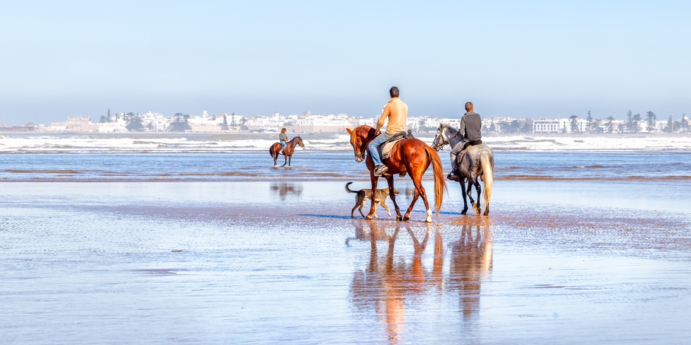 Investir à Essaouira