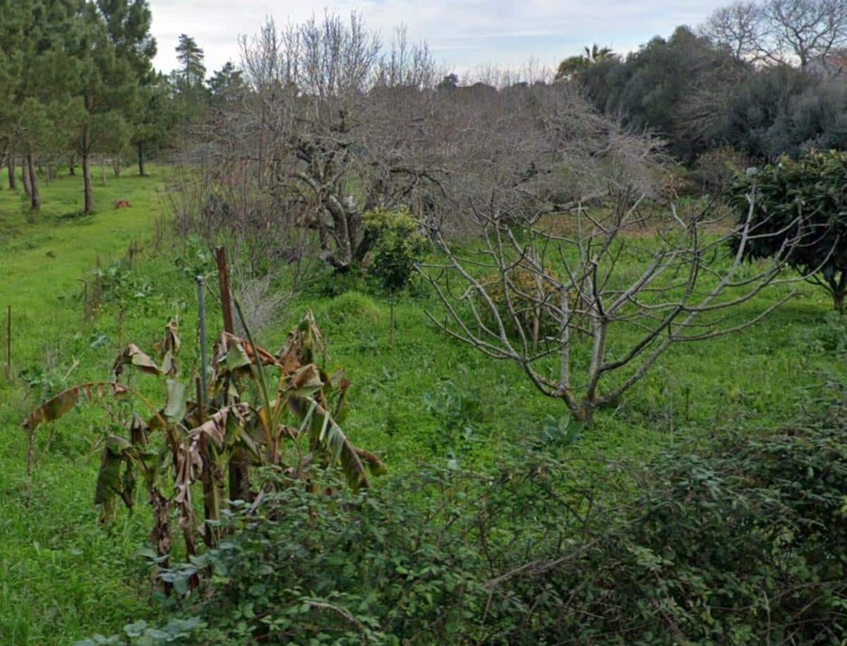 Land Sesimbra